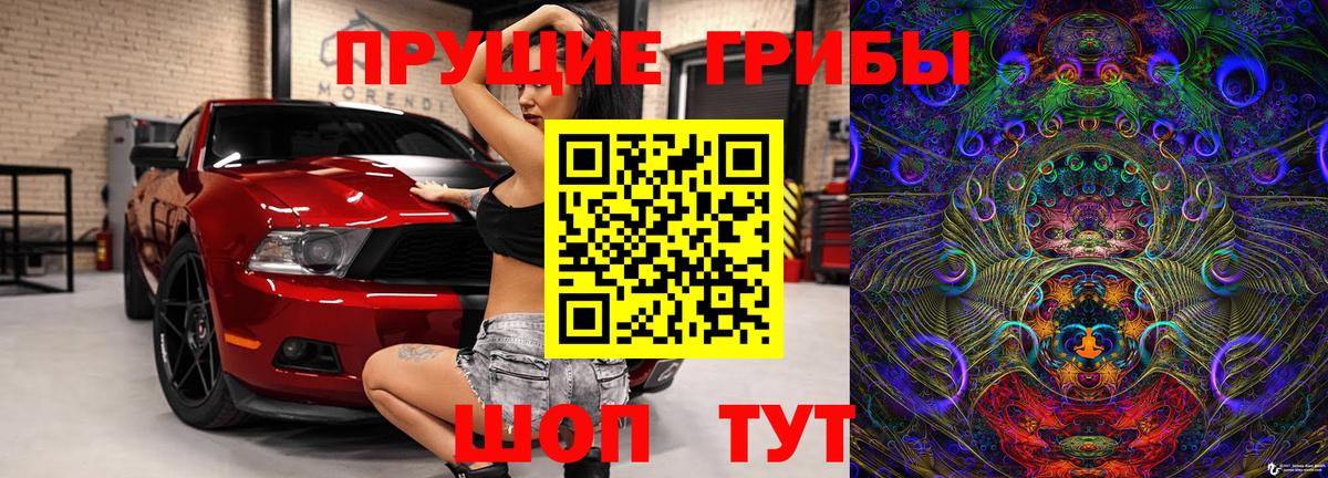 где купить   Галлюциногенные грибы Psilocybe  Орёл  Вход с VPN  Псилоцибиновые грибы ЛСД 